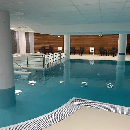 Apartment Gourette - 6/8 Pers Avec Piscine Et Animaux Admis